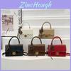 Fashionable Trendy Lock Buckle Handheld Small Square Bag For Women Stylish Winter Collection