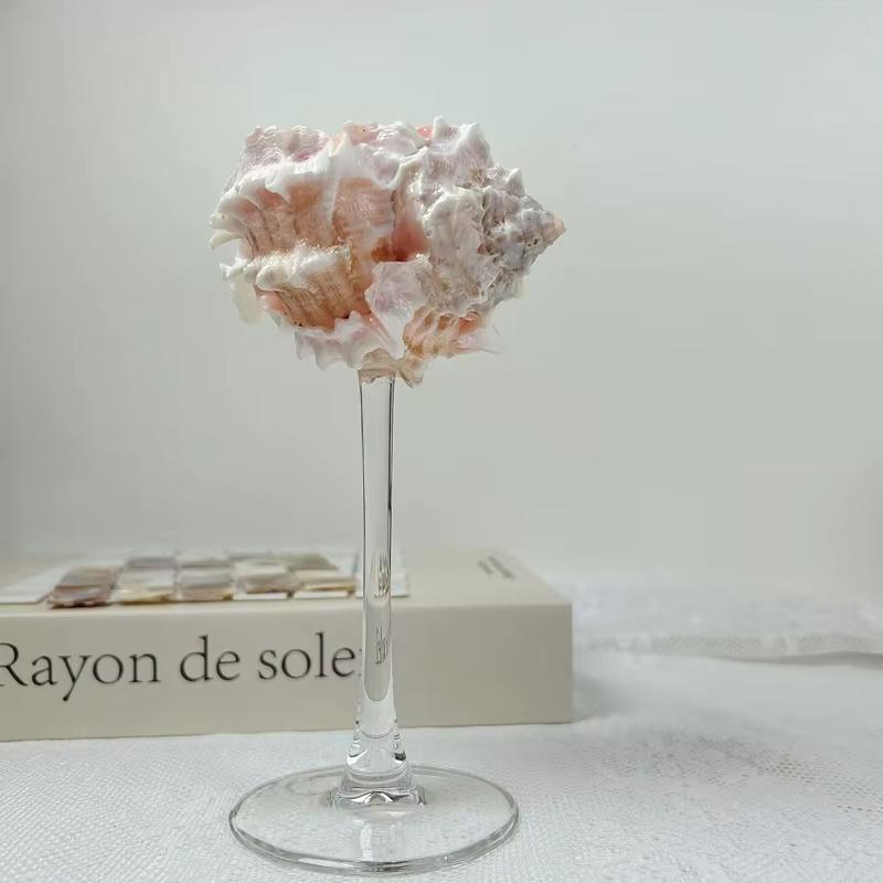 Conch Shell Champagne Glass Cup for Celebrations, Unique Drinkware for Adults Home Bar Wedding Favor Decoration Artistic Display