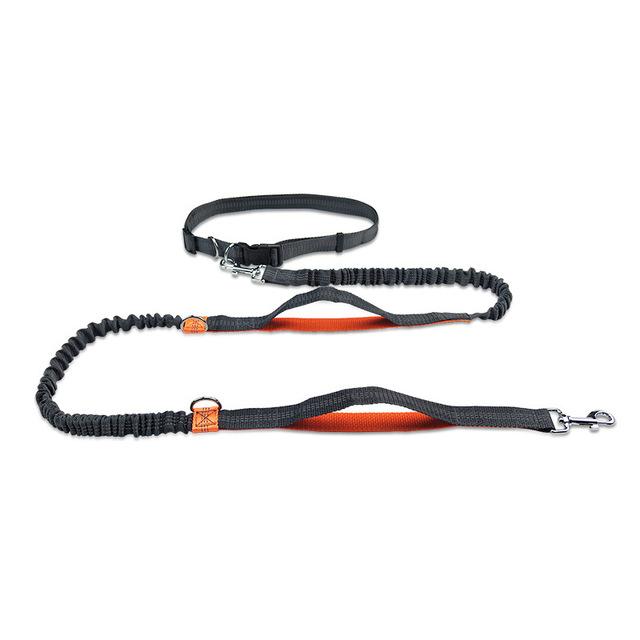 Professional 2022 New Reflective Leash Traction Rope Pet Dog Running Belt Elastic Hands Freely Jogging Pull Dog Leash Metal D-ring Leashes