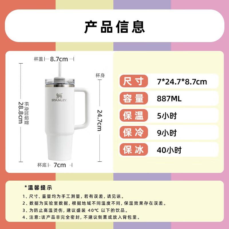 STANLEY Insulated Stainless Steel Straw Tumbler