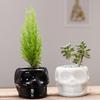 Decorațiuni pentru casă – Ghivece de flori decorative