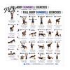 Heim-Fitnessstudio Dekoration 2 Stück Hantel Trainingsplan Poster, Ganzkörperübung Anfängerfreundlicher Fitnessführer Wandkunst, Krafttraining für Plan Männer