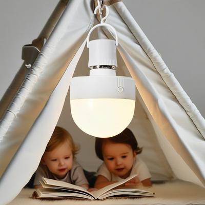 Magnetic with Rechargeable Warm Remote Type-C LED Bulb Light for Mood Lighting