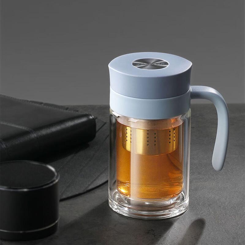 Tayohya Double Wall Glass Tea Infuser Bottle