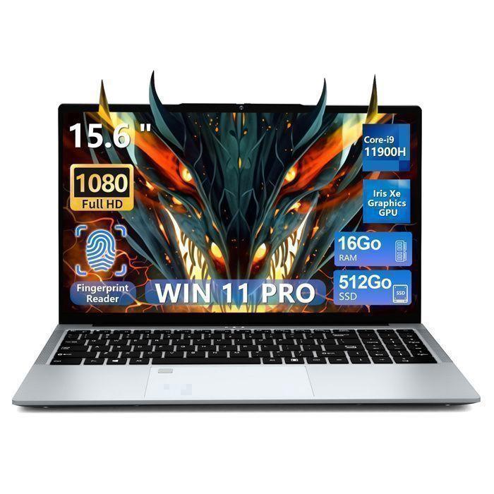 PC Portable Gamer | Core i9-11900H - RAM 16Go - 512Go SSD- 15,6" FHD IPS - Win 11 Pro Ordinateur Portable