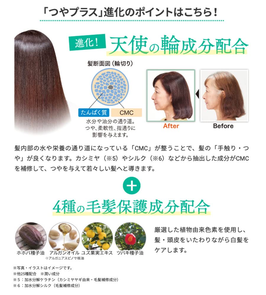 Sastty Rishiri Hair Color Treatment for Gray Shine Plus 150g Hair, (Natural Brown),