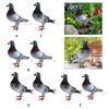 Simulation Foam Pigeon Model Realistic Bird Figurines Artificial Foam Bird Mini