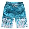 Men's Quick-Dry Beach Shorts - Summer Swimwear, Mid-Length, Unisex Design