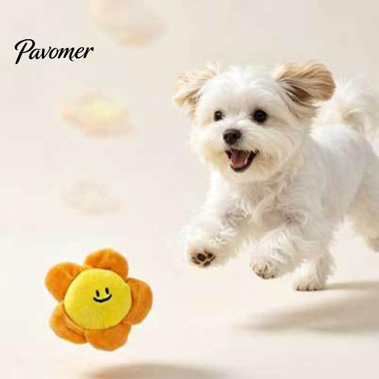 Internal Spiky Ball Toy Crinkle Flower Dog Toy, Squeaky Inside, Plush Puppy Cute Floral Chew Interactive Fetch for Small And Medium Dogs Durable