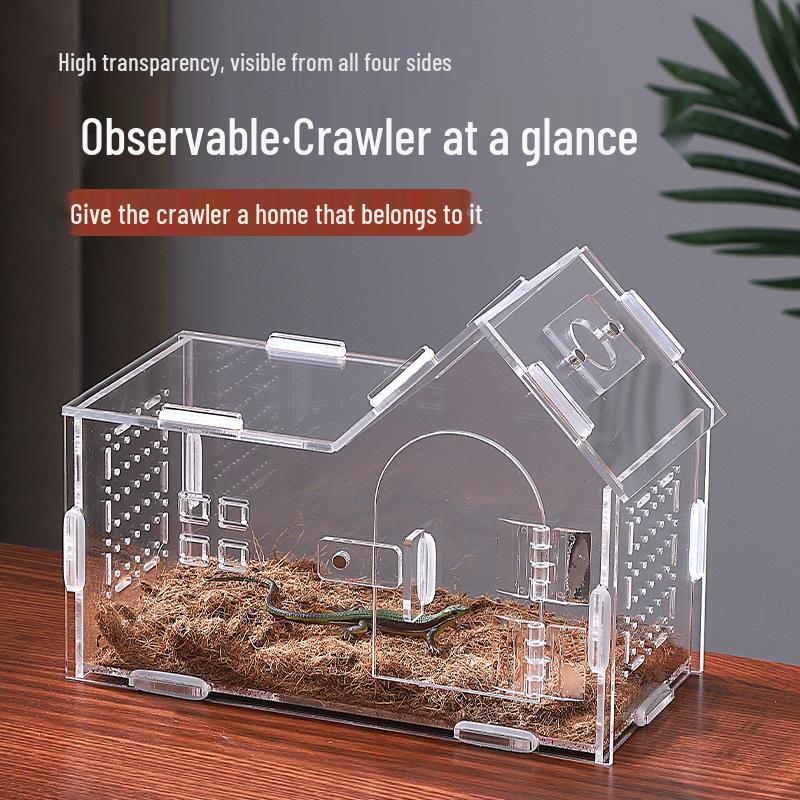 Small Acrylic Reptile Habitat: Transparent Observation Box for Spider, Lizard, Mantis, and Rainforest Landscape