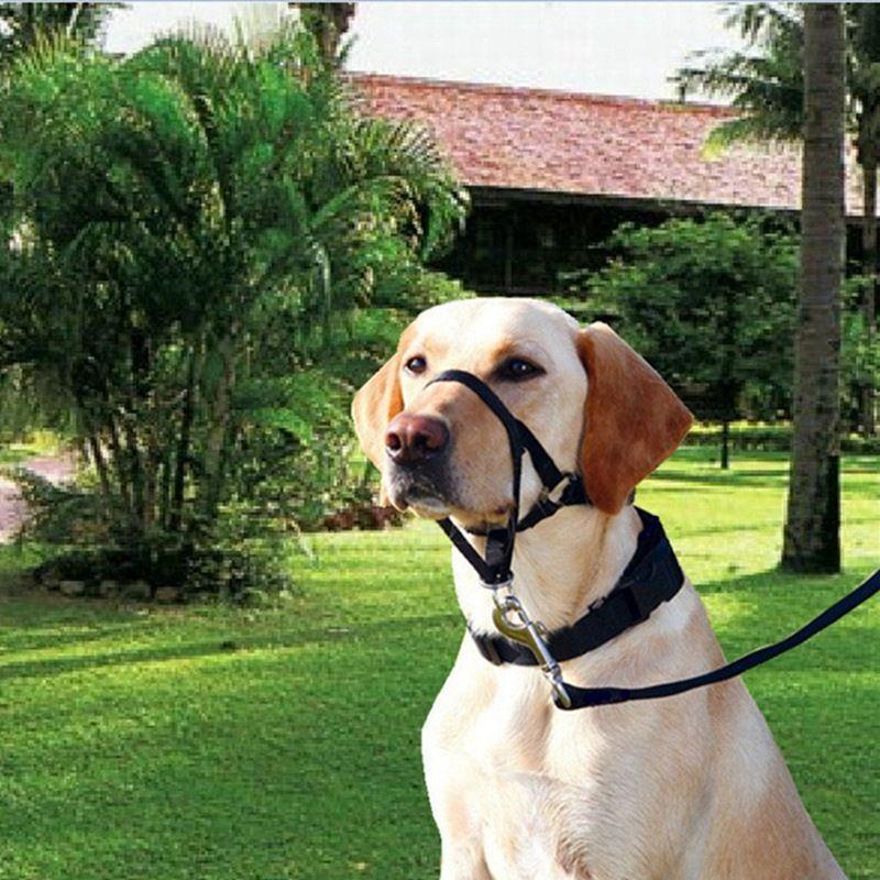 Pet Dog Muzzle Leash, Muzzle Cap, Dog Mouth Nose Ring, Training Dog, Anti-riot Collar, Outdoor Traction Rope, for Outdoor Dog Walking