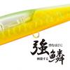 Shimano Saltwater Lure Minnow Netsuna Spin Breeze 140S Flash Boost 001 F Hirame Gold XG-814U