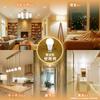 TOSHIBA LED Light Bulb, E17 Base, A-type, 40W Equivalent, Wide Beam Angle, Warm White, 2-prong Socket, Suitable for Enclosed Fixtures,