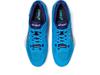 Sports shoes ASICS blue Sky Elite Ff