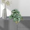Unique Imitation Plant No Watering Anti-fading Decorative