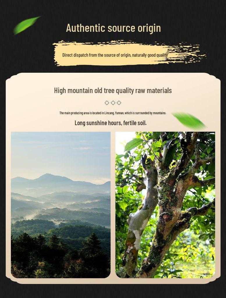 Yunnan Tea Horse Road Aged Fragrance Ripe Pu'er Tea - Lincang Menghai Arbor Golden Brick