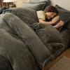 Winter Milk Velvet Bedding Set Warm Thicken Plush Quilt Cover Bed Sheet Pillowcase Double Bed Twin Queen King Duvet Cover Set