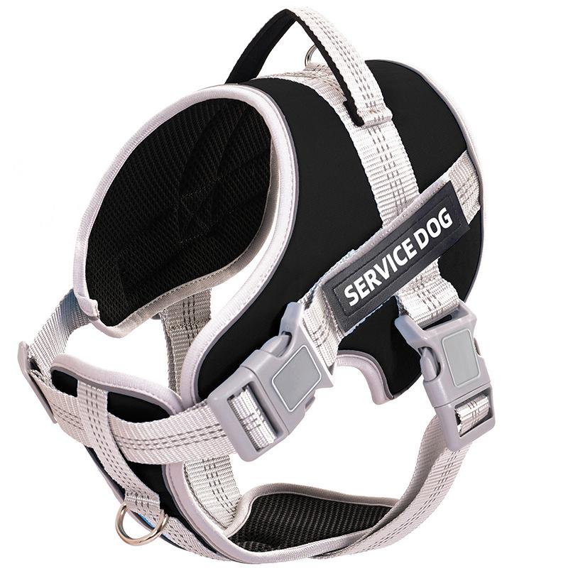Adjustable Explosion-Proof Dog Leash and Harness for Walking