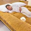 Thickened Lambswool Fleece Mattress Pad - Soft Winter Tatami Sponge for Dormitory Single Bed