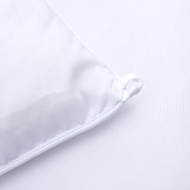 Mercury Home Textiles Antibacterial All-Season Fiber Quilt