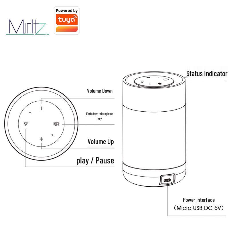 Doodle-Certified WiFi Remote Control Speaker with Infrared Forwarding & Long Battery Life for Home Use