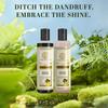 Khadi Natural Amla & Reetha Hair Cleanser and Conditioner Combo 210ml  pack of 2 Nourishing Duo for Strong Shiny Hair