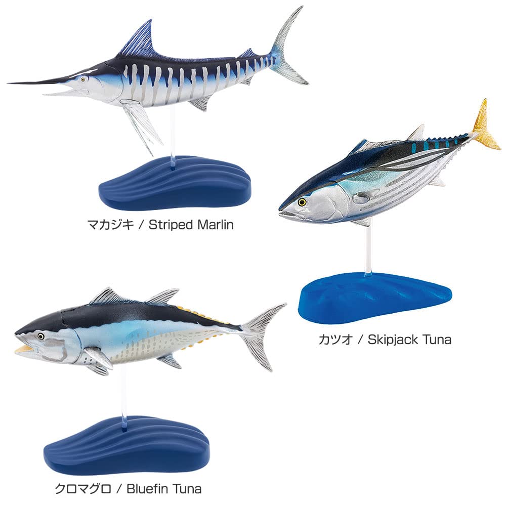 Calorata Saltwater Fish Figure Deluxe Set (15 Species  Boxed  Instruction Manual  Food Sanitation Law Compliant) 3D Illustrated Guide, Realistic Fish