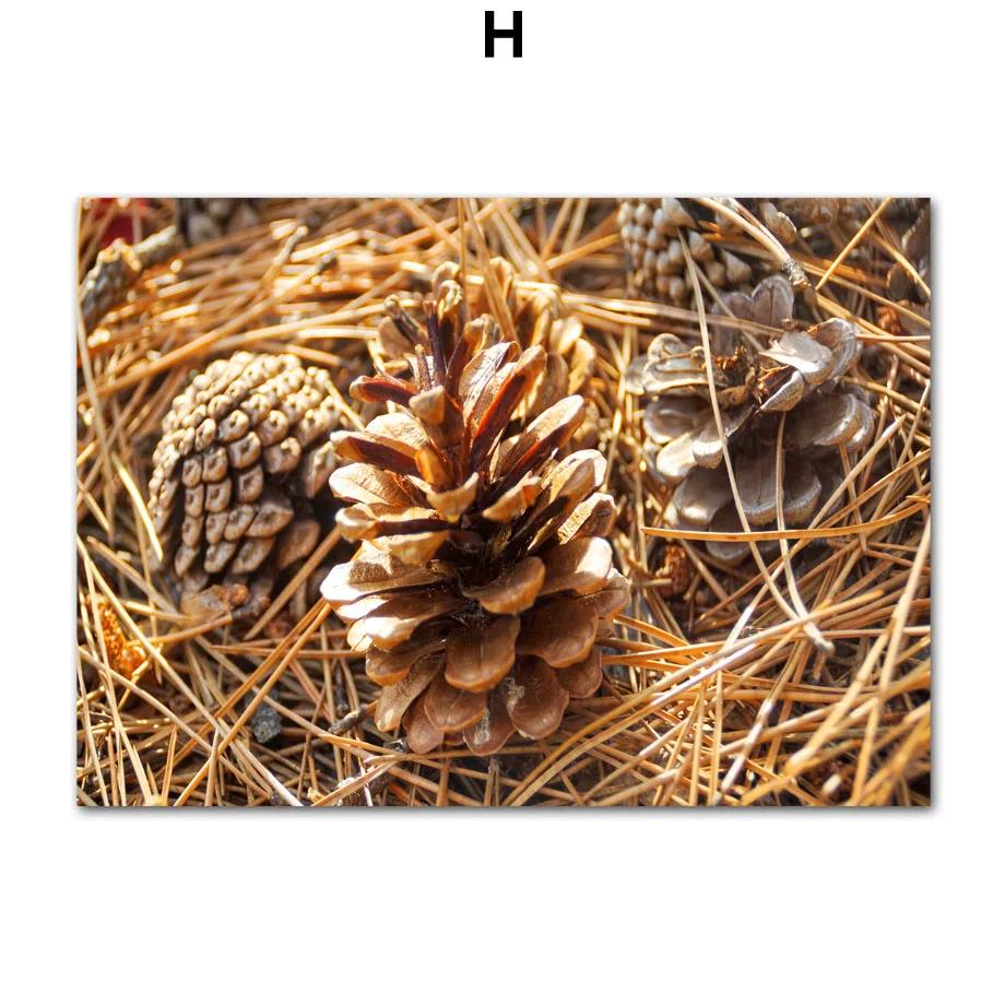 

Водопад Белка Лесной Орех Лиса Мост Лесная Дорога Гуси Плакаты и Принты Настенная Живопись Холст Картины Для Декора Спальни 21*30cm No Frame