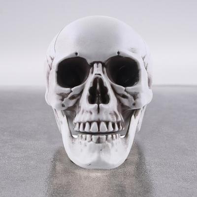 Life Size Human Skull Model Halloween Decor Skeleton Skull Realistic Human Adult Skull Head Bone Model Graveyard Outdoor Decor
