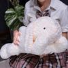 Cartoon Animal White Rabbit Plush Toy Soft and Comfortable Pink Rabbit Stuffed Doll Gifts For Girl