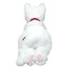 Sun Lemon Lap Cat Plush Toy Small White Odd Eyes