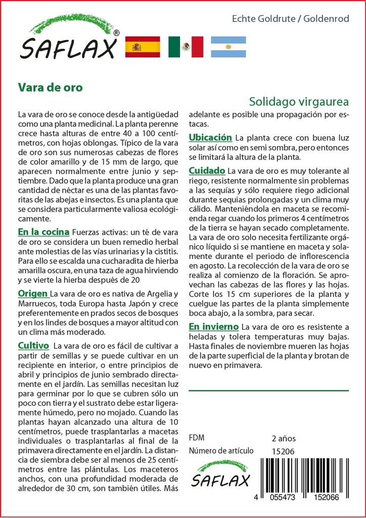 SAFLAX Zahrada v pytli - Zlatobýl - 100 semen - Se substrátem v přiléhavém sáčku - Solidago virgaurea