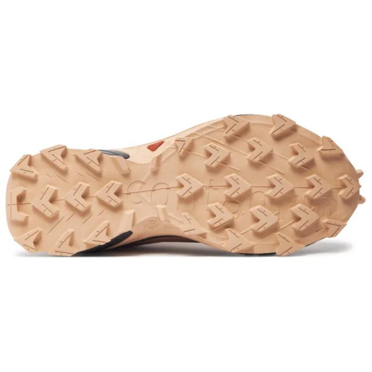 SALOMON Alphacross 5 Trendy Sportovní Protiskluzové Odolné Nízké Trailové Běžecké Boty Dámské tenisky Hnědé L47595100