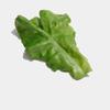 Creative and funny vegetable leaf hair clip with raw vegetable hair clip, funny and broken hair clip with bangs on the side
