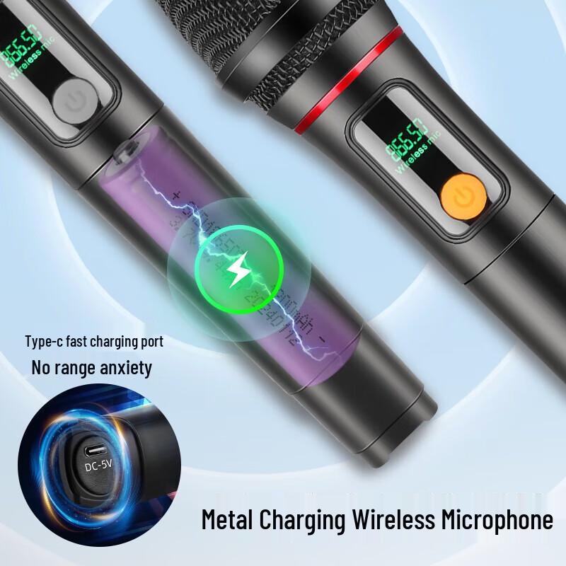 SAST WD-30 Portable Karaoke Machine with Display