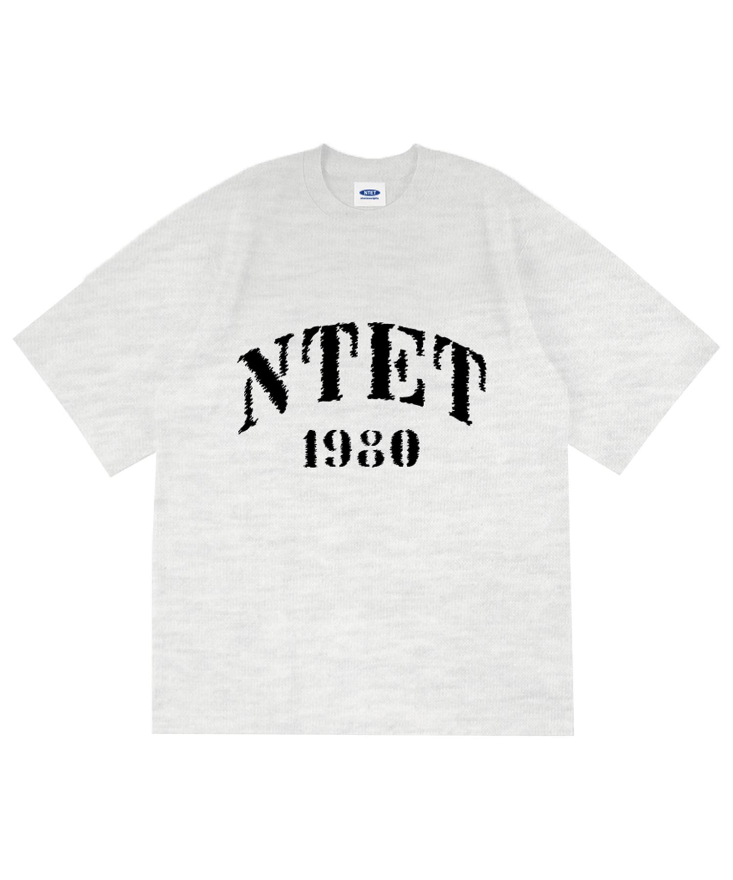 Entity 1980 Buzz Oversized Short Sleeve T-Shirt White Melange White Melange/L