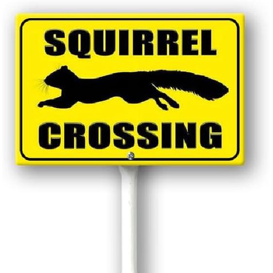 Boylee Squirrel Crossing Yard Sign with Stake 12x8inch Rustproof Aluminum Sign Outdoor Aluminum Sign for Lawn Yard Garden Decor, Easy To Install,