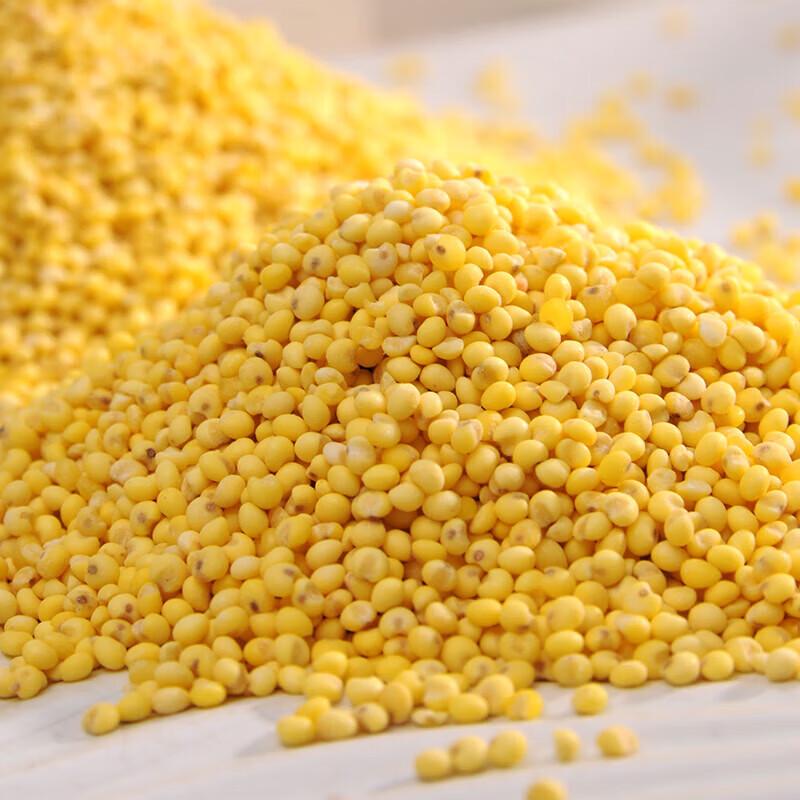 Fen Duxiang Premium Hirse