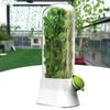 Herb Saver Storage Container Vegetable Preserving Bottle Fresh Herb Keeper for Kitchen Storing Cilantro Mint Parsley Asparagus