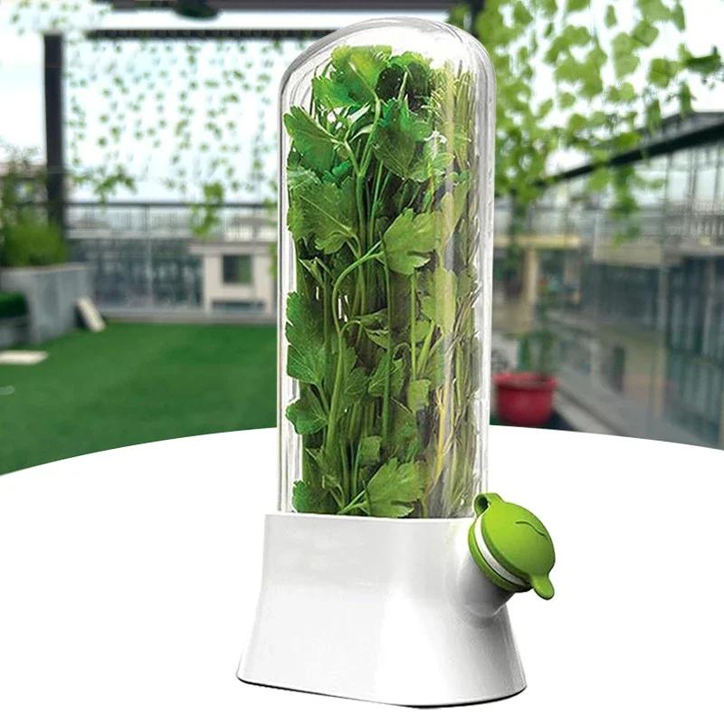Herb Saver Storage Container Vegetable Preserving Bottle Fresh Herb Keeper for Kitchen Storing Cilantro Mint Parsley Asparagus