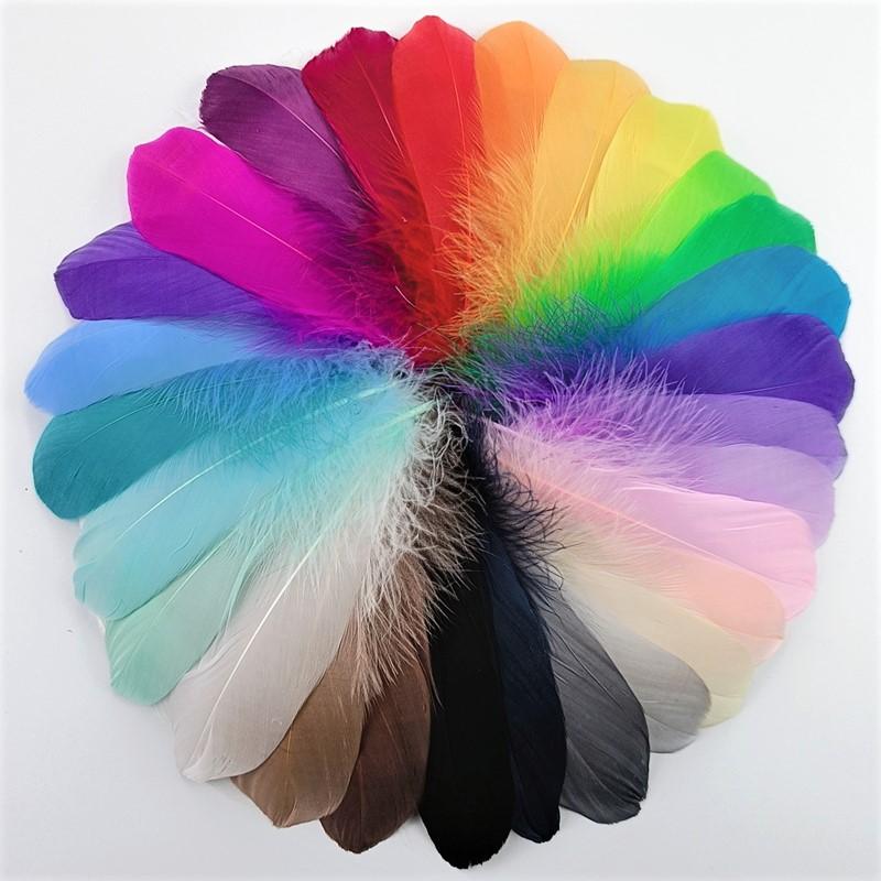 

Красочные гусиные перья 12-18 см, аксессуары для ловца снов, натуральный мягкий лебяжий пух, DIY для создания ювелирных изделий, украшение для свадебной вечеринки 20Pcs