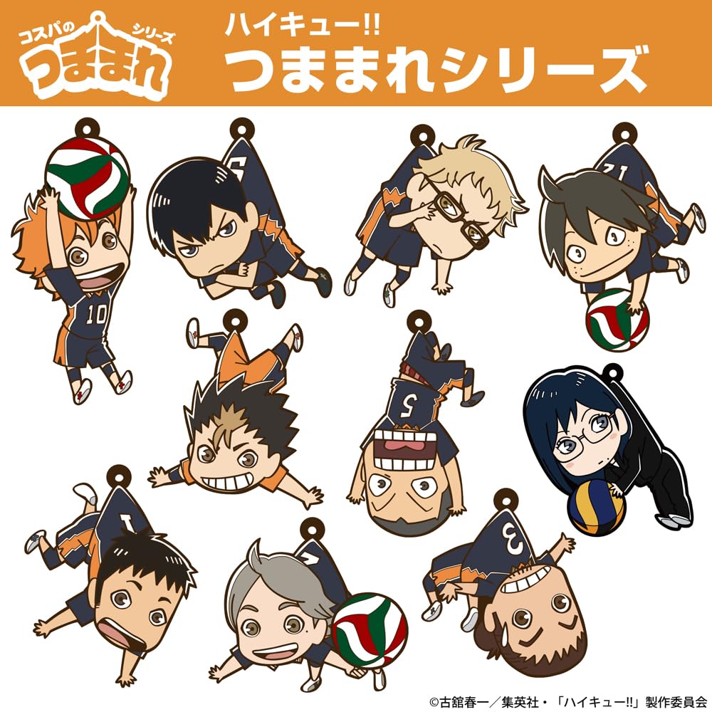 COSPA Kiyoko Shimizu Tsumamare Admired Manager [Official] Haikyu!! Ver.