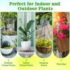 Self-Watering Glass Plant Globes-Iridescent Rainbow Gradient Watering System with Slow Release,for Indoor/Outdoor Potted Plants