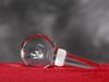 Cardigan Welsh Corgi I – Crystal bottle stopper, unique wine stopper with photo | Art-Dog