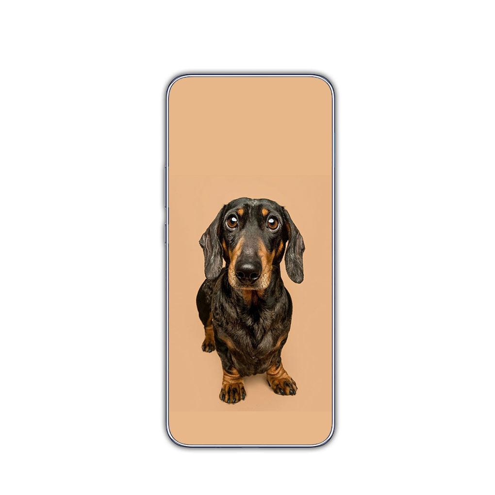 Animal Lovely Dachshund Dog Phone Cover for Motorola Moto G13 G14 G53 G54 G62 G72 G82 G84 E13 E20 G42 G32 G23 G22 Soft Case
