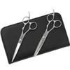 DEEDS GTZ Scissors and Thinning Scissors Approximately Thinning Set from a Japanese Scissors Professional Hairdressing [PF] (6.25 Inches) (6.0 Inches,