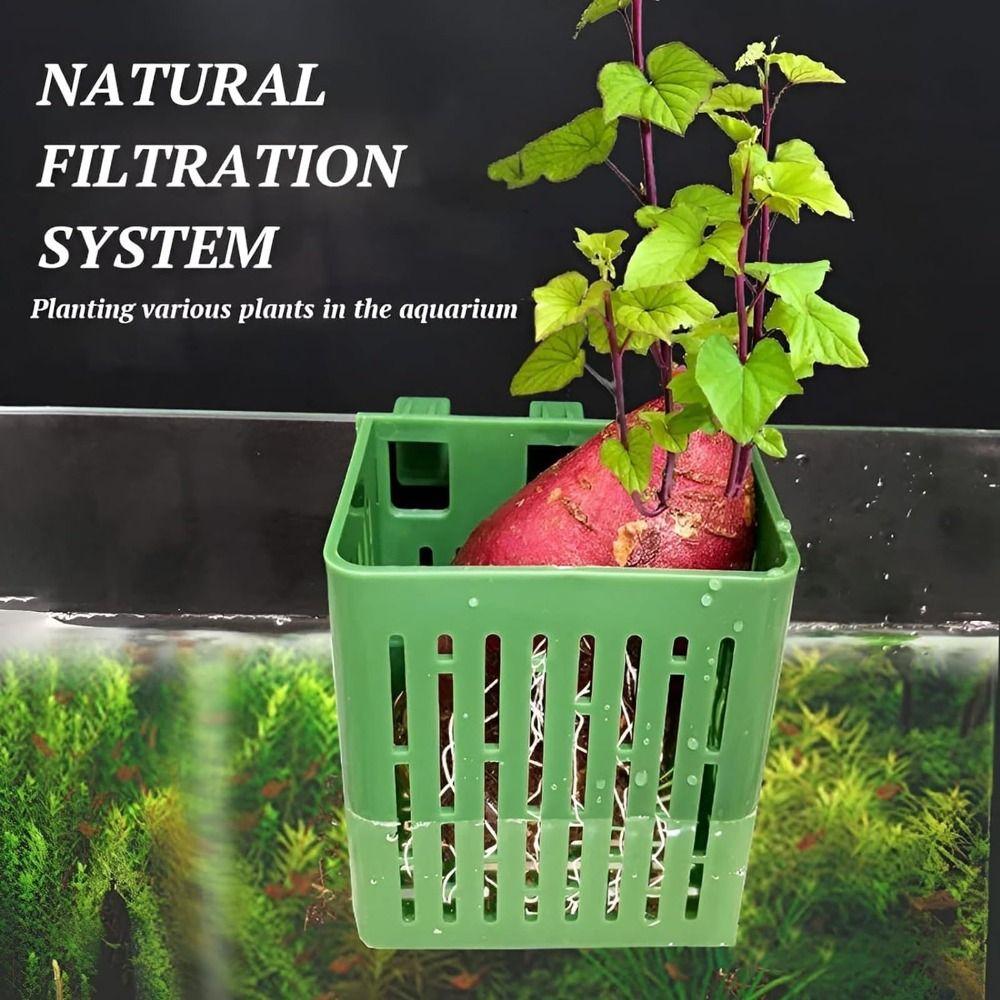 Water Plant Landscape Fish Tank Hydroponic Planting Basket Fish Tank Plant Cup  for Fish Tank