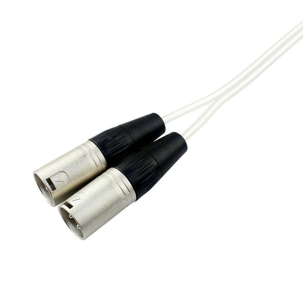 XLR Cable, Microphone Cable, Canon Conversion Cable, Audio Cable, Stereo Cable, 3.5mm Plug (Male) to 2XLR Plug (Male), Stereo Mini Plug Male-Male (1m)