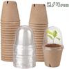 Seed Seedling Pulp Cup Biodegradable Circular Seedling Pot Disposable Nursery Nutrition Cup Horticultural Garden Plant GrowthCup