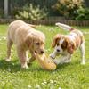 Cartoon Pet Molar Toy Bite-resistant Latex Squeaky Dog Toy Pet Interactive Toys  Puppy Teething